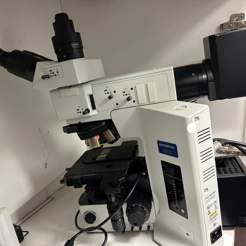 Olympus BX 51 TRF Microscope