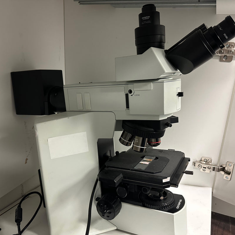 Olympus BX 51 TRF Microscope