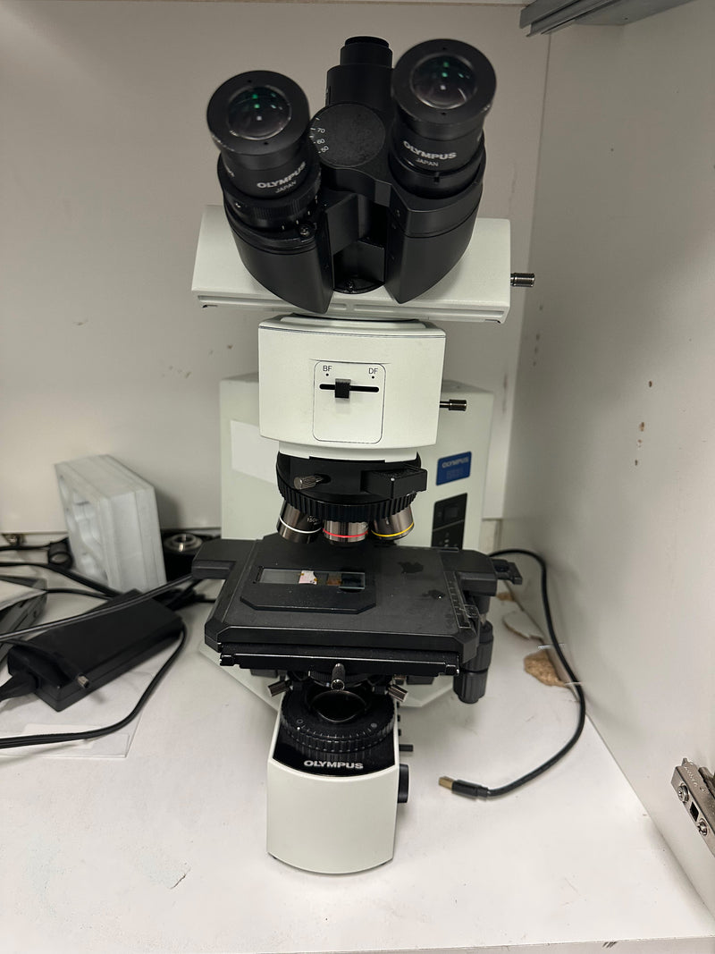 Olympus BX 51 TRF Microscope