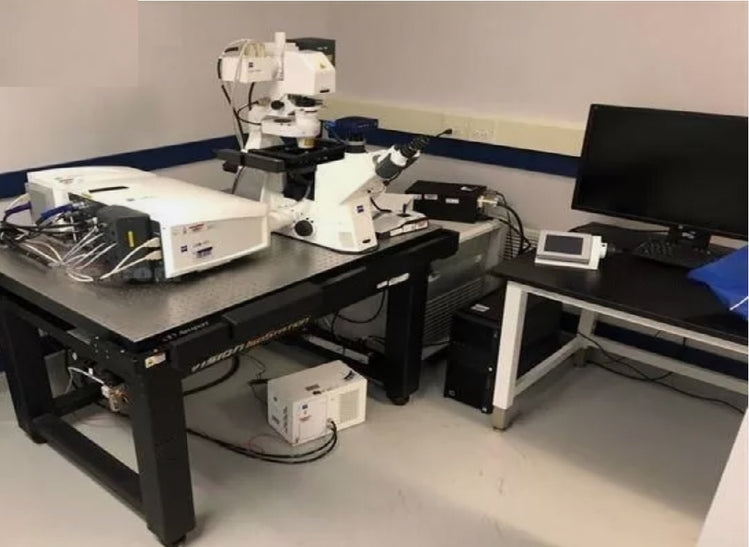 Zeiss LSM 880 Confocal Microscope