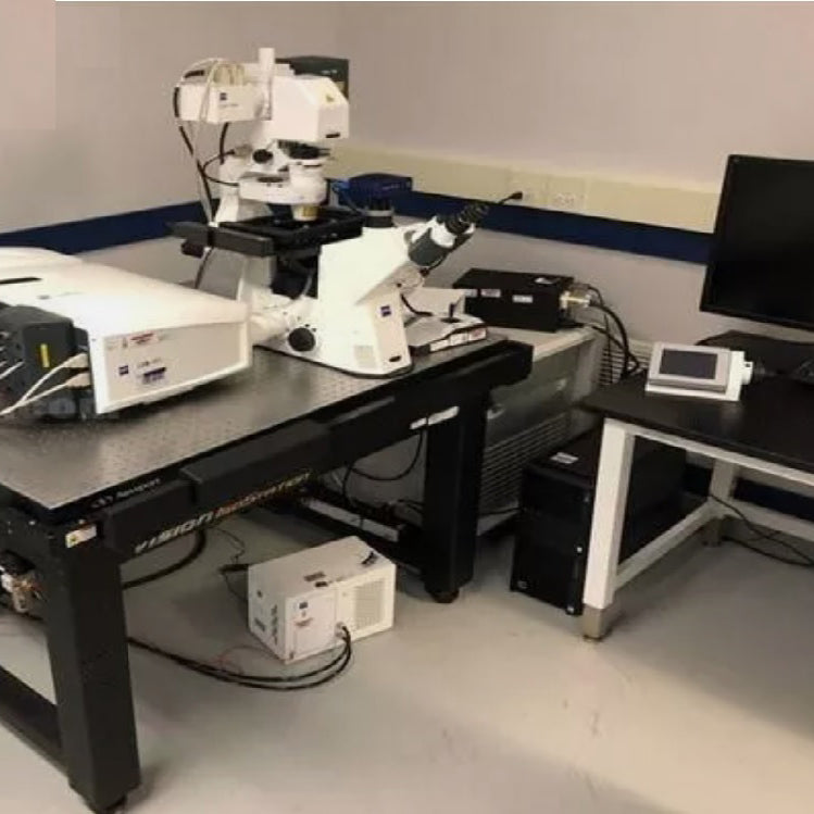 Zeiss LSM 880 Confocal Microscope