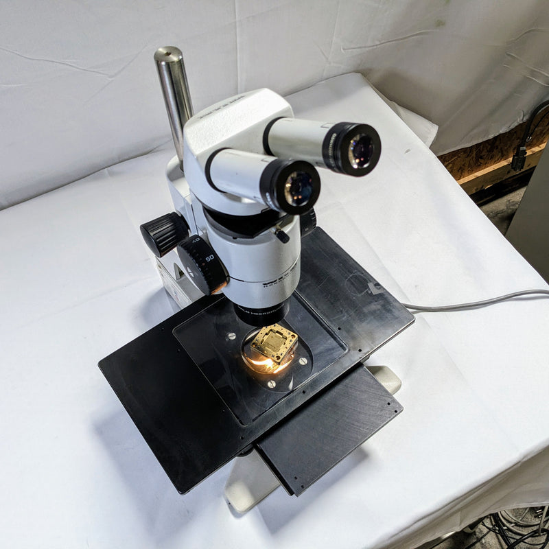 Wild Heerbrugg Microscope