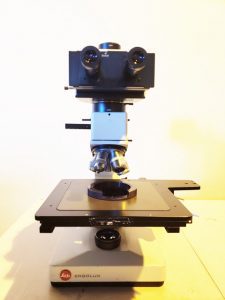 Buy Ernst Leitz Wetzlar  Ergolux  Microscope  65006