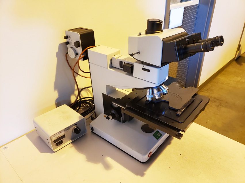 Ernst Leitz Wetzlar  Ergolux  Microscope  65006 For Sale