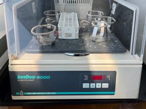 New Brunswick Scientific  Innova 4000  Incubator Shaker  66731 For Sale